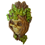Oakenspry Green Man Tree Ent Wall Plaque