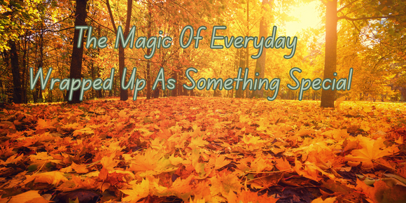The Magic Of Everyday Wrapped Up As Something Special