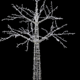 Full Light Display Tree with 600 Twinkle Lights- 180cm, Indoor/Outdoor