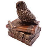 Keeper Of The Books Owl Cold Cast Bronze Trinket Box