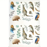Set of illustrated Australian animals and plants on a white background