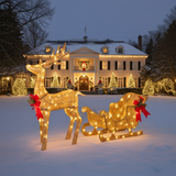 Decorative lighted reindeer and sleigh in front of a house with Christmas lights.