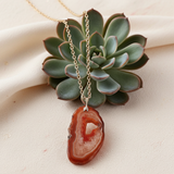 Necklace with a red stone pendant on a succulent plant