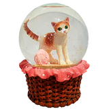 Inquisitive Kitten Glitter Water Globe