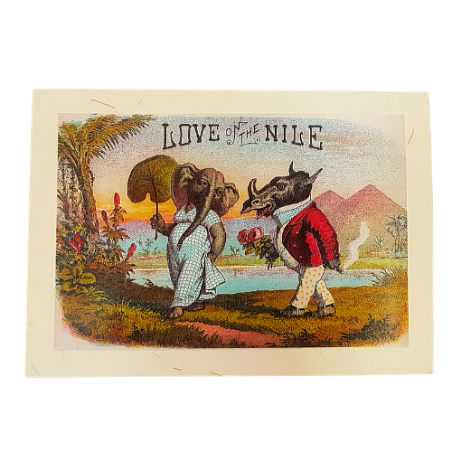Love On The Nile Valentine's Card 