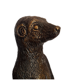 Meerkat Bronze