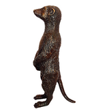 Meerkat Bronze