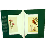 National Library Classic Collection Gifts Card Set